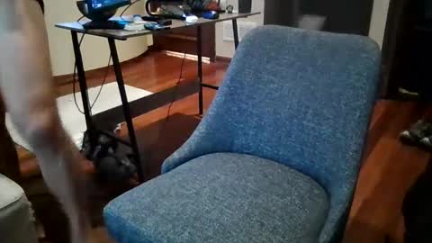 Sky online show from December 2024 02:49:01 PM