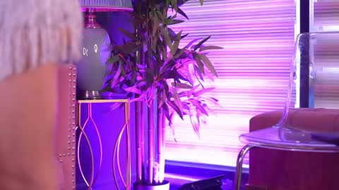 Odette online show from March 2026 08:30:01 AM