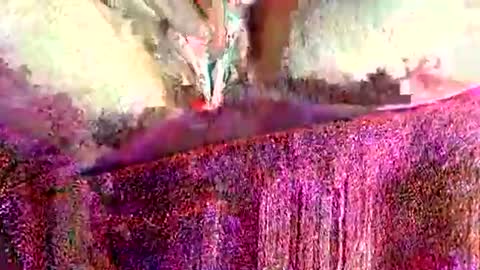 ohlalamama13 online show from March 2026 09:51:01 PM