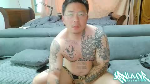 ohshxt online show from May 2026 06:43:02 AM