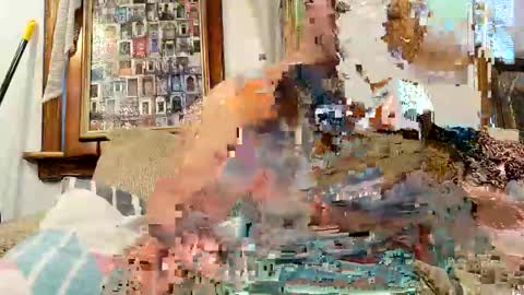 oknpc online show from December 2024 12:35:01 PM