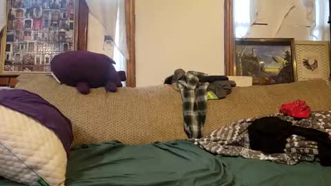 oknpc online show from January 2025 12:35:01 PM