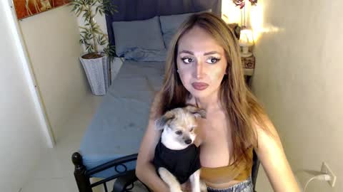 Pearl online show from January 2025 04:24:01 PM