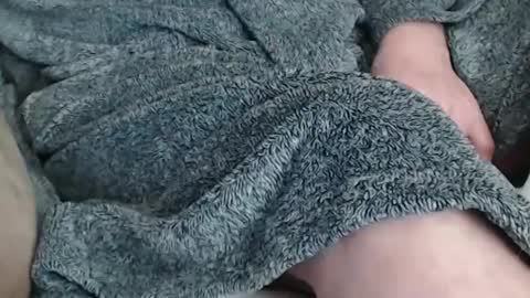 Butch online show from February 2025 04:14:02 PM