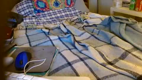 Mattu online show from November 2025 07:41:02 AM