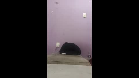 Snapshot of oneninjaone chatting on February 2026 01:55:02 AM oneninjaone online show from February 2026 01:55:02 AM