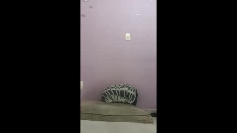 Snapshot of oneninjaone chatting on February 2026 02:01:02 PM oneninjaone online show from February 2026 02:01:02 PM