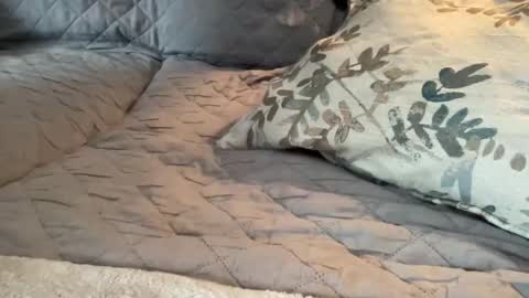 Snapshot of onthedlhere chatting on January 2025 07:18:02 PM onthedlhere online show from January 2025 07:18:02 PM