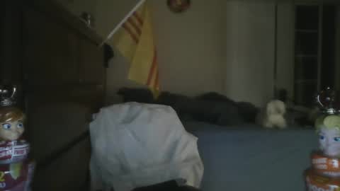 Snapshot of oorah1775 chatting on March 2025 11:50:01 AM oorah1775 online show from March 2025 11:50:01 AM