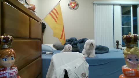 Snapshot of oorah1775 chatting on March 2025 02:10:02 PM oorah1775 online show from March 2025 02:10:02 PM