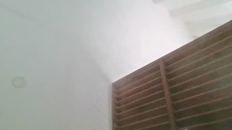 optimus590 online show from August 2026 03:14:02 PM