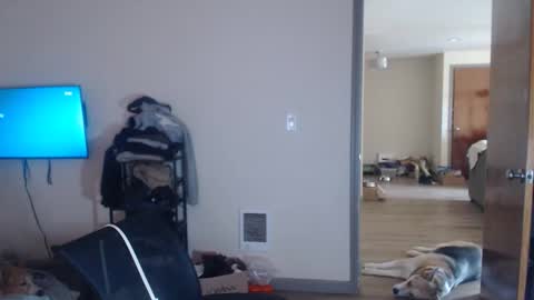 Snapshot of oregon87 chatting on May 2026 12:49:01 AM The Oregon Lumberjack online show from May 2026 12:49:01 AM
