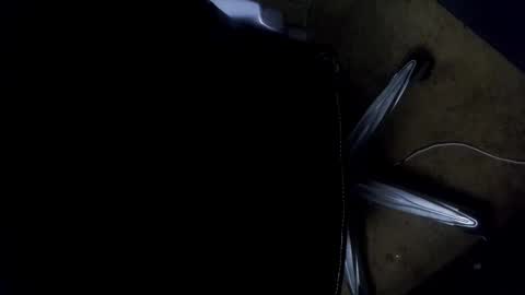 orgasmgiver9090 online show from November 2025 07:36:02 PM