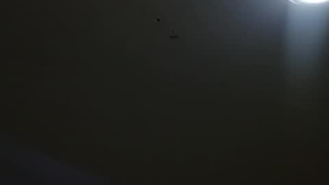 oriana_111 online show from May 2026 11:28:01 AM