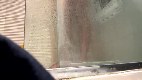 orn74 online show from December 2024 09:17:02 PM