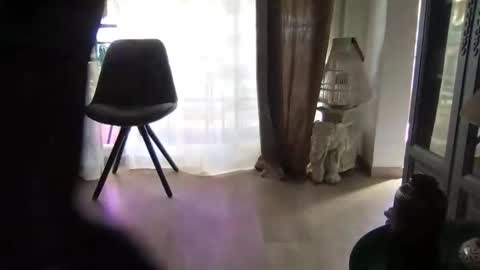 orn74 online show from March 2026 11:35:01 AM