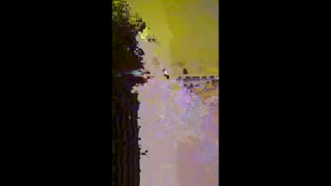 Snapshot of pacone112 chatting on December 2025 12:54:01 PM Mr. Pac online show from December 2025 12:54:01 PM