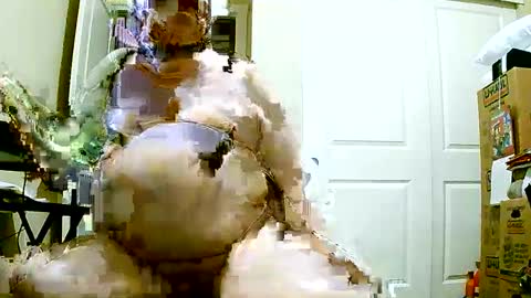 Bill online show from December 2024 01:14:01 PM