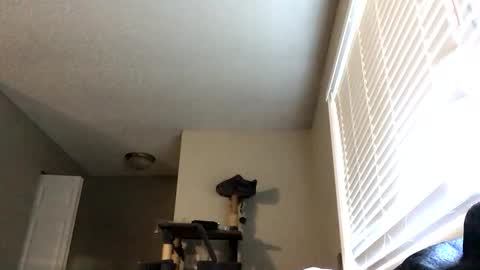 paigechantel online show from February 2026 11:45:01 PM