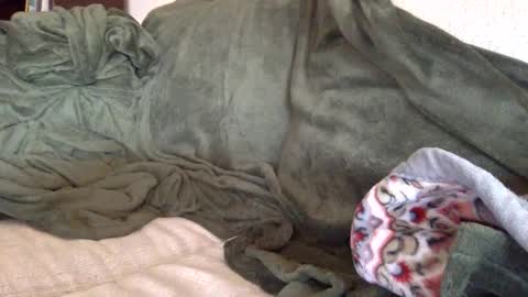 paintdude424 online show from September 2025 01:48:02 PM