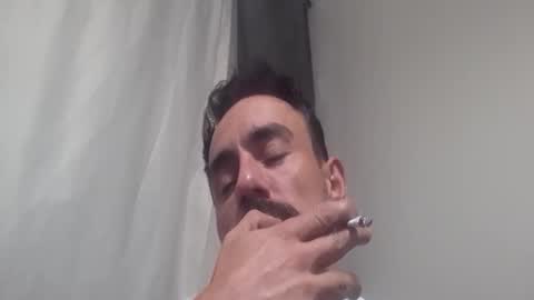   PALA online show from November 2025 03:28:01 AM