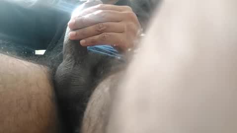 palatco online show from December 2024 02:35:02 PM