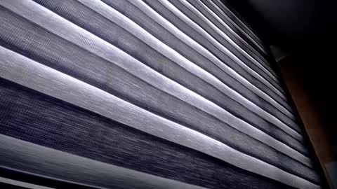 Snapshot of palmer_mix chatting on December 2024 01:24:01 PM Palmer online show from December 2024 01:24:01 PM