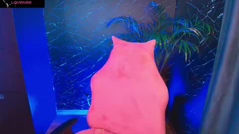 Palo Santo online show from February 2026 07:35:01 AM