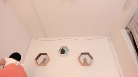 Snapshot of paloma_victory chatting on January 2025 08:32:01 PM Paloma online show from January 2025 08:32:01 PM