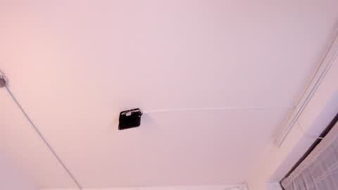 Snapshot of paloma_victory chatting on February 2025 11:36:02 PM Paloma online show from February 2025 11:36:02 PM