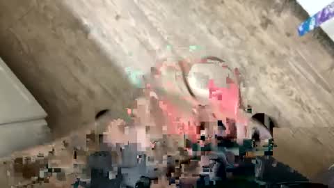 palote_69 online show from January 2025 08:04:01 PM