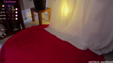 Snapshot of pambloom_ chatting on March 2025 06:05:02 PM online show from March 2025 06:05:02 PM