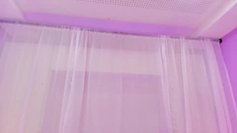  P A M  online show from March 2025 11:54:02 PM