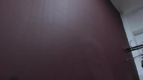  P A M  online show from October 2025 04:24:02 AM