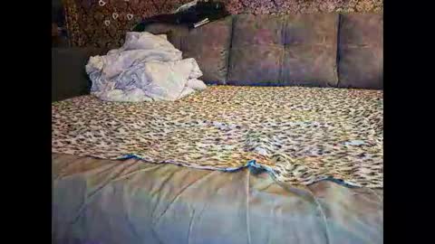 Pancamo online show from January 2026 07:17:01 PM