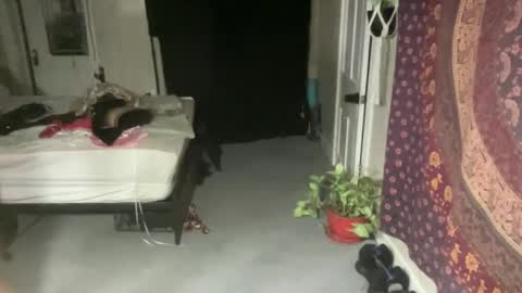 Pantiesofthefae online show from February 2025 12:16:01 AM