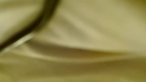 PantyJim19 online show from February 2025 09:55:01 AM