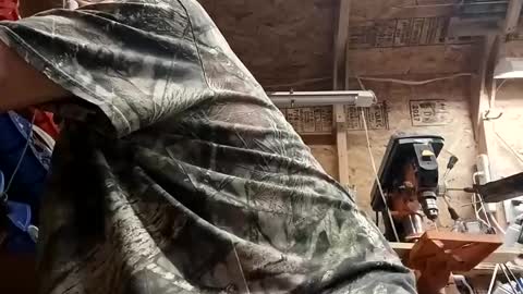 papajb70 online show from February 2025 06:06:02 AM