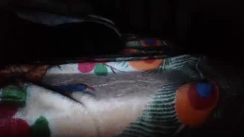 papi mexicano en boxers online show from November 2025 06:46:01 AM