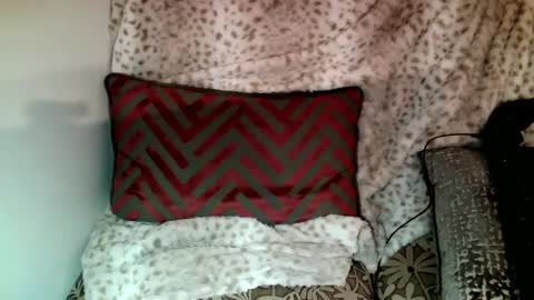 Snapshot of parlay0028 chatting on December 2024 06:41:01 PM Parlay tellio online show from December 2024 06:41:01 PM