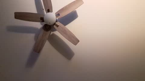 Snapshot of patrick247288 chatting on September 2025 04:34:02 AM patrick247288 online show from September 2025 04:34:02 AM