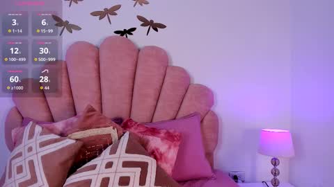 Paula   online show from February 2026 12:19:01 PM