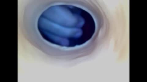 Paula 18 Aninhos online show from February 2025 07:44:02 PM