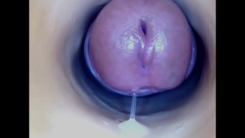 Snapshot of paulainoscente chatting on January 2026 12:02:01 AM Paula 18 Aninhos online show from January 2026 12:02:01 AM