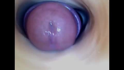 Snapshot of paulainoscente chatting on January 2026 04:31:01 PM Paula 18 Aninhos online show from January 2026 04:31:01 PM