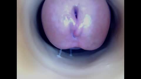 Snapshot of paulainoscente chatting on January 2026 04:37:02 AM Paula 18 Aninhos online show from January 2026 04:37:02 AM