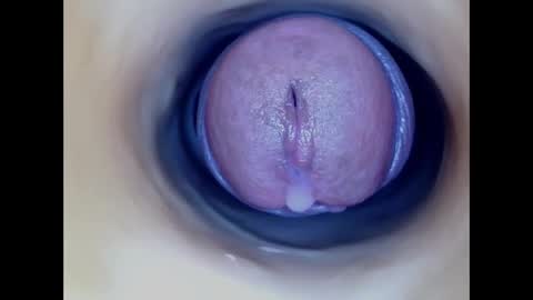 Snapshot of paulainoscente chatting on January 2026 07:13:01 AM Paula 18 Aninhos online show from January 2026 07:13:01 AM