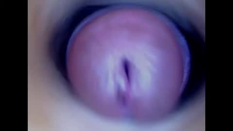 Snapshot of paulainoscente chatting on January 2026 07:41:01 PM Paula 18 Aninhos online show from January 2026 07:41:01 PM