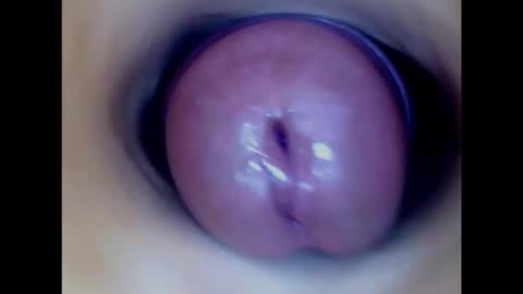 Snapshot of paulainoscente chatting on February 2026 10:47:02 PM Paula 18 Aninhos online show from February 2026 10:47:02 PM