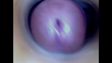 Snapshot of paulainoscente chatting on February 2026 03:03:01 AM Paula 18 Aninhos online show from February 2026 03:03:01 AM